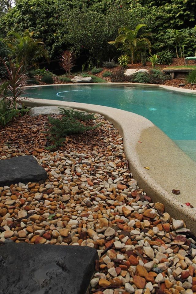 Which Mulch Should You Choose to Make Your Plants Thrive?