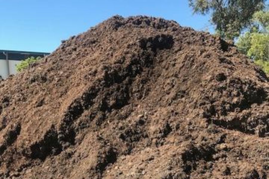 Mushroom: the Compost of Champions