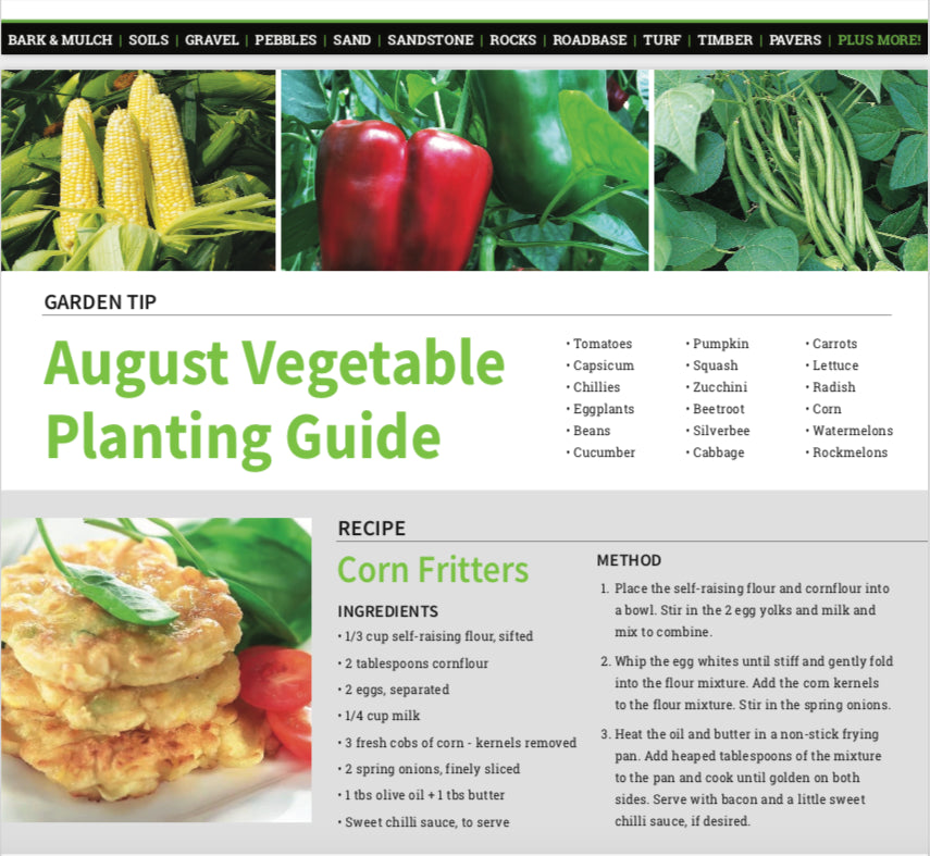 August Newsletter is Ready to Read