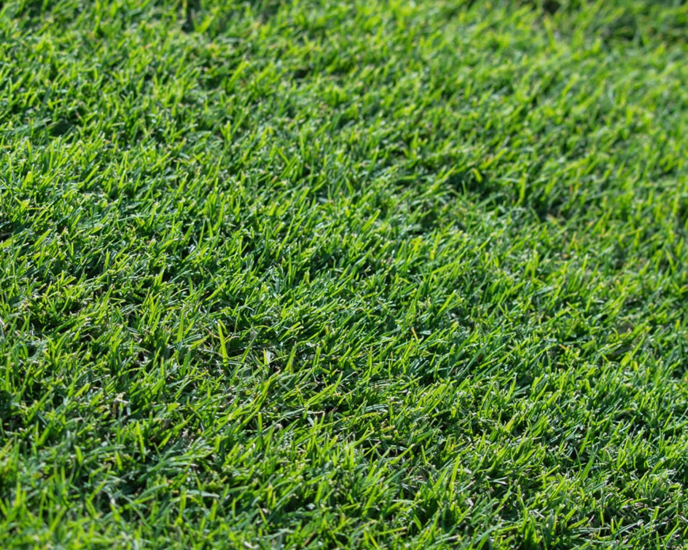 Soil Premium Under Turf Mix 1m3