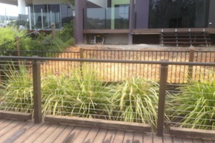 Garden Art, Tom Finlay