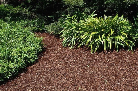 It's Time to Mulch; Here's Why