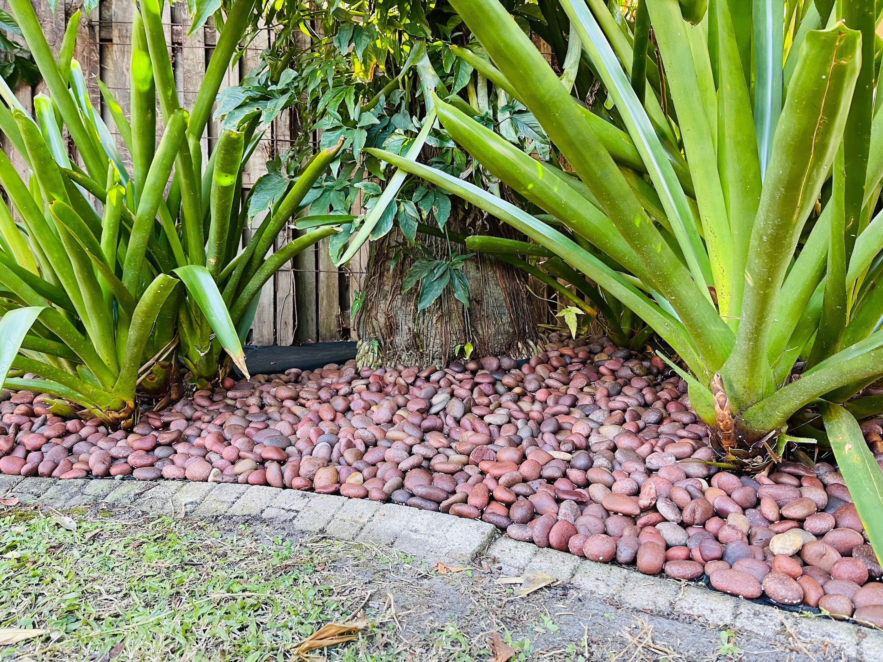 Red Decorative Pebble a stylish addition to your landscaping design