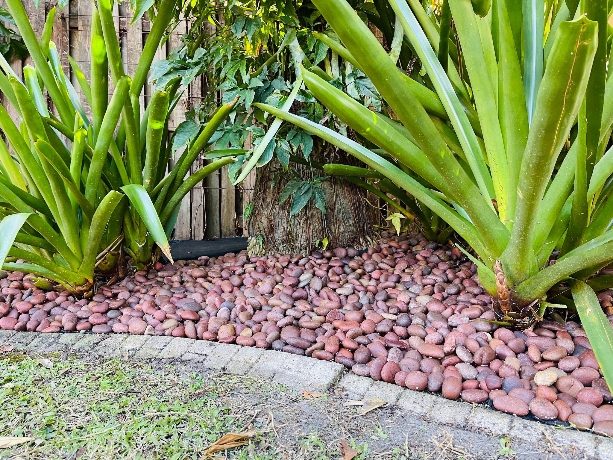 Red Decorative Pebble a stylish addition to your landscaping design