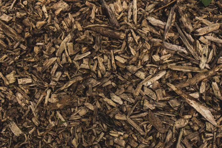 Mushroom Compost is the Organic Mulch