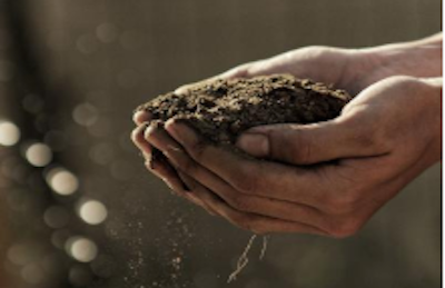Our soils are now AS4419 Certified for your peace of mind