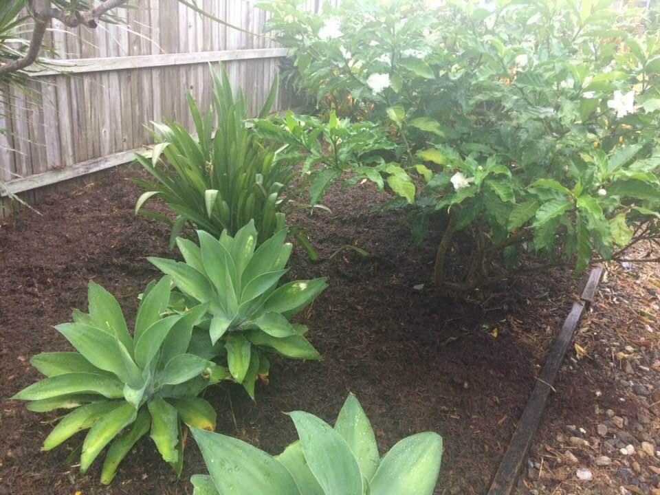 Tea Tree Mulch is BACK in Stock ... But You'd Better be Quick!