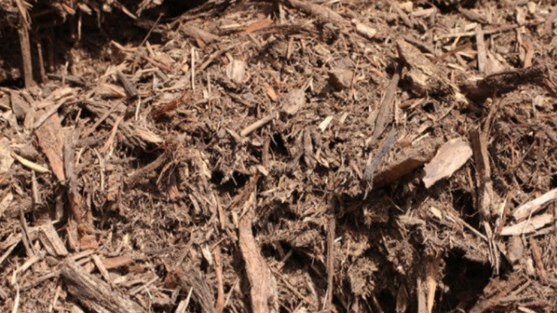 That is service you rarely get today