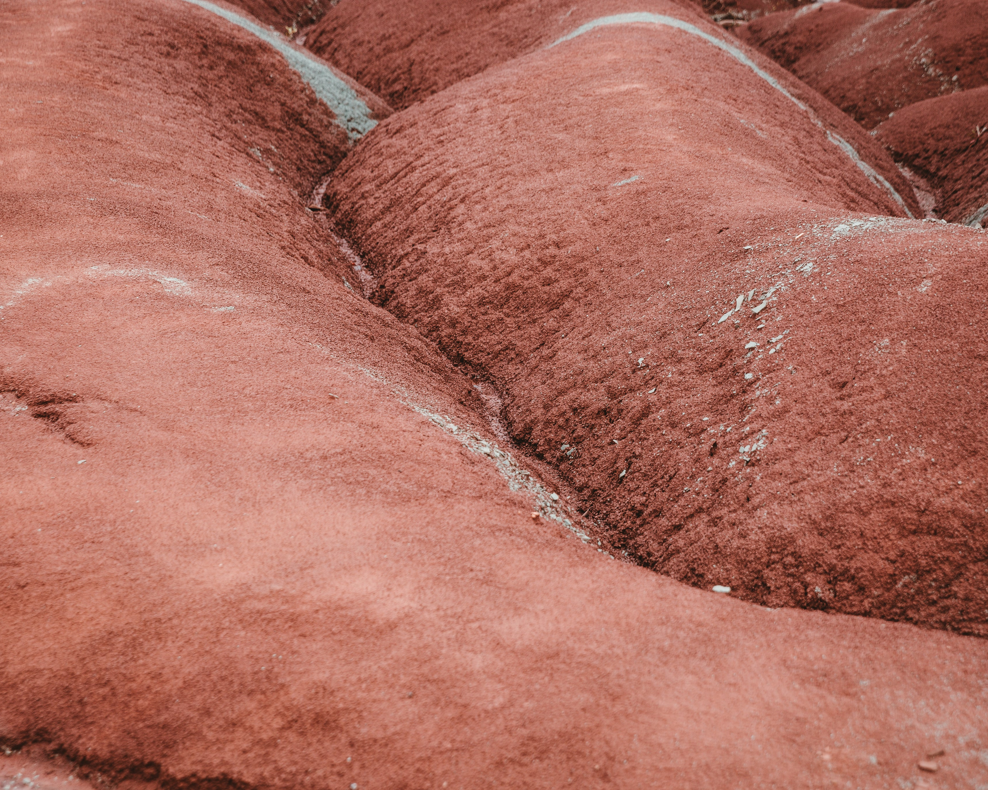 What our customers say