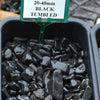 Pebble Black 20-40 mm