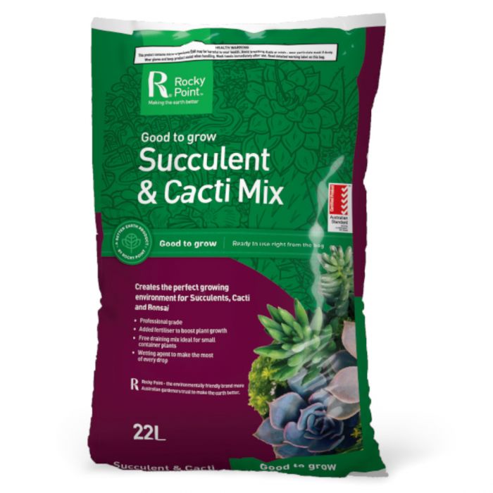 Succulent & Cacti Mix