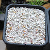 Pebble Ghost Grey 20mm