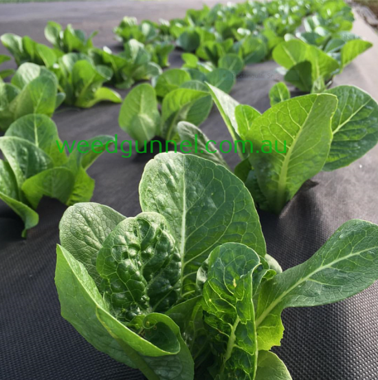 HW WEEDMAT 1.8m x 20m