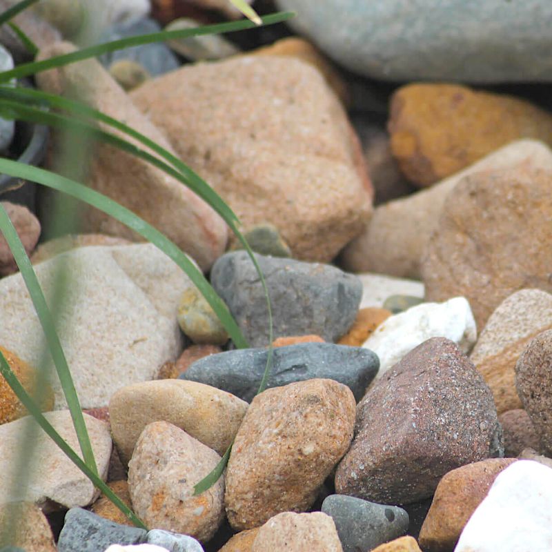 Pebble Mary River Over Size