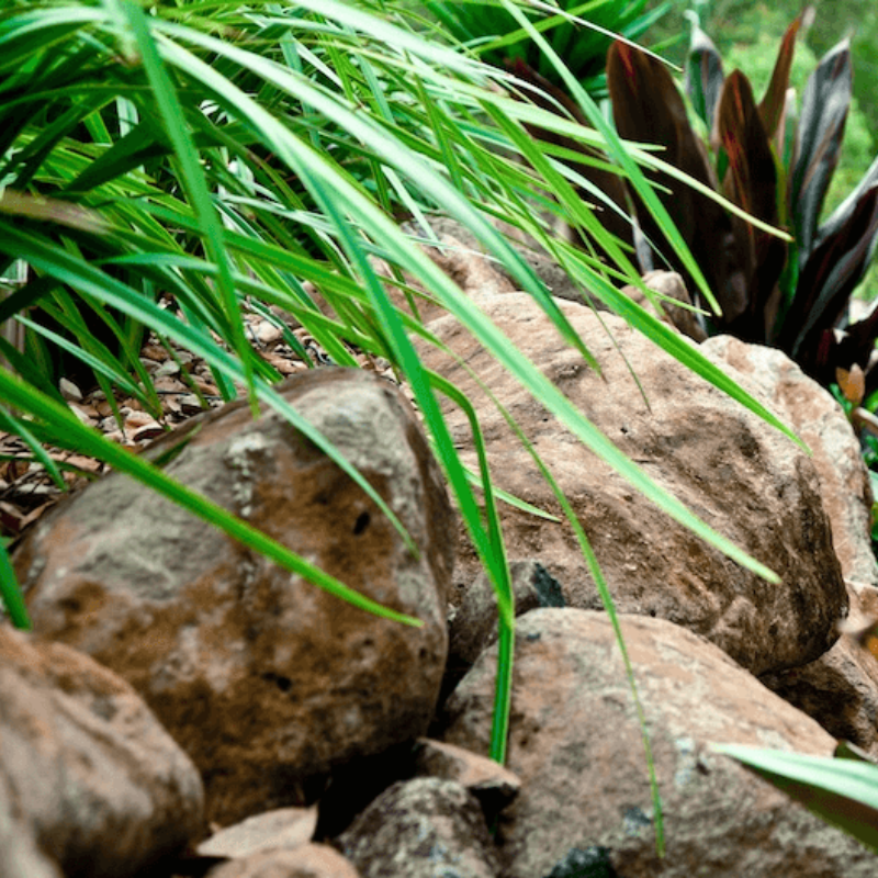 Rocks Bush Rock 1m3 - Coastal Landscape Supplies