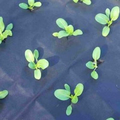 HW WEEDMAT 0.9m x 50m