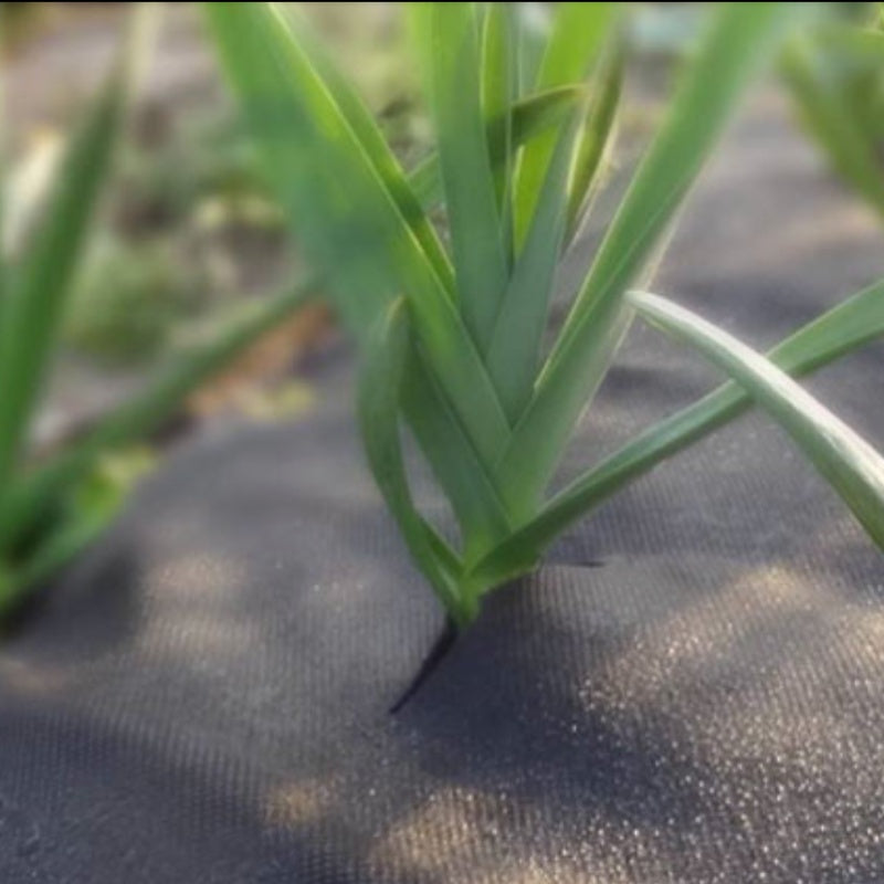 HW WEEDMAT 0.9m x 10m