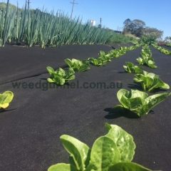 HW WEEDMAT 0.9m x 10m